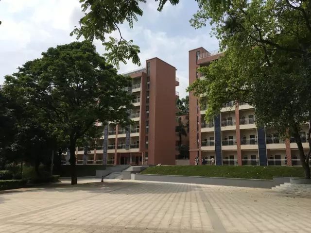 學在省電商丨不負最美校園，不負青春時光