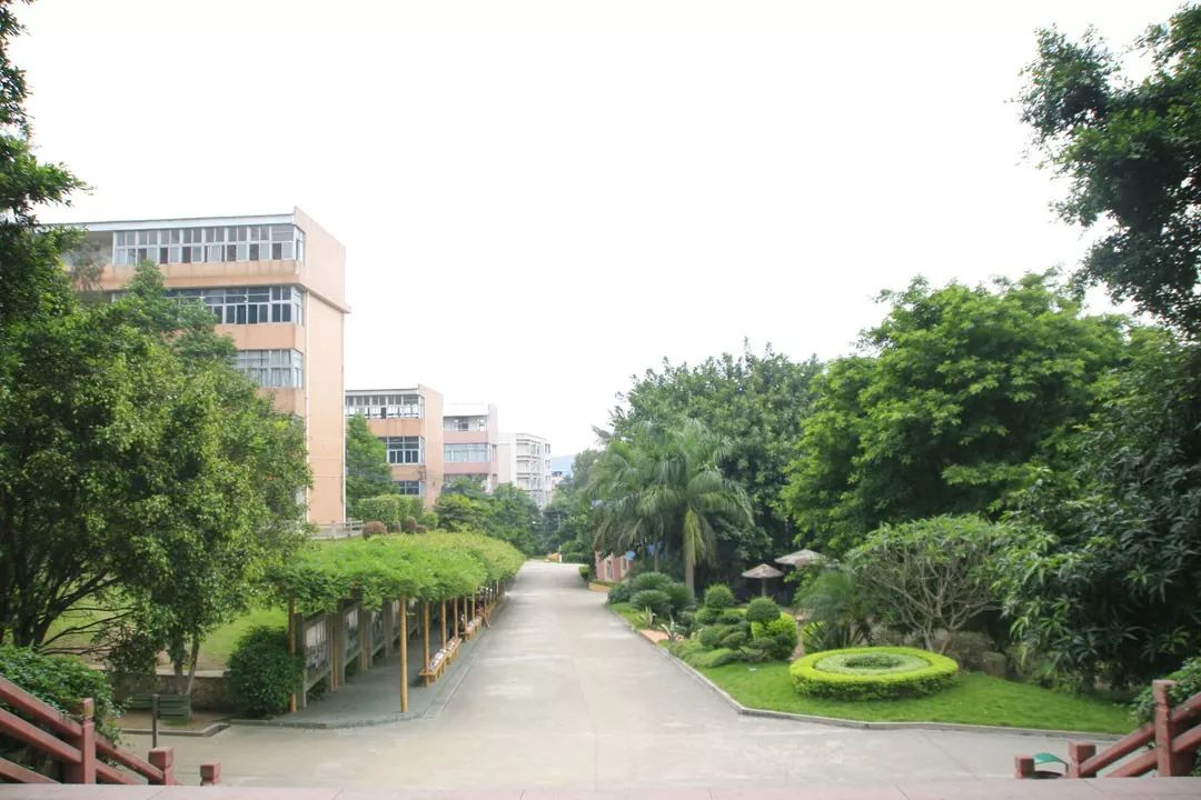 學在省電商丨不負最美校園，不負青春時光