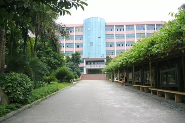 學在省電商丨不負最美校園，不負青春時光