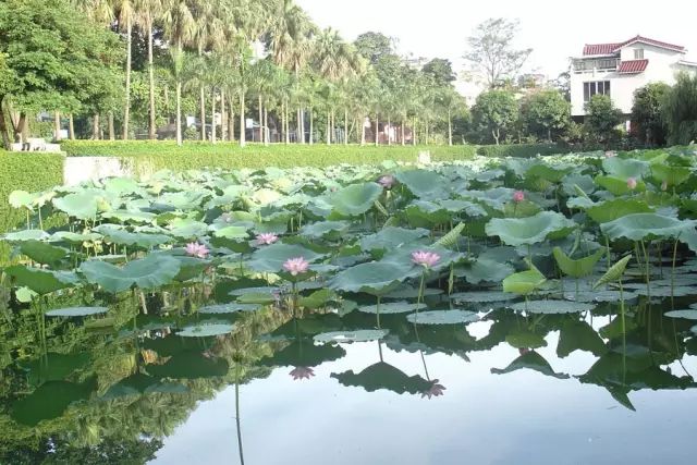 學在省電商丨不負最美校園，不負青春時光