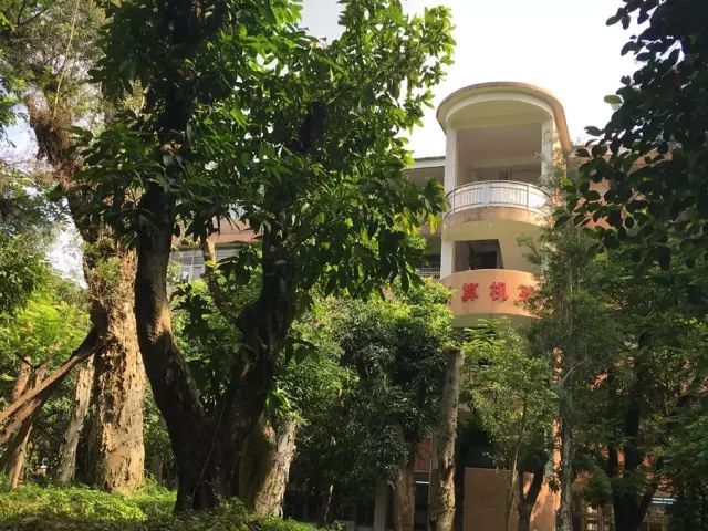 學在省電商丨不負最美校園，不負青春時光